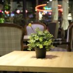 夜のカフェの落ち着いたテーブル席と観葉植物